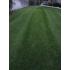 organic lawn care