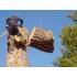 Tree Removal