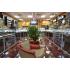 Store Show Room