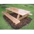 City Park Picnic Table