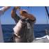 Deep Sea Fishing Pensacola