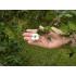 Nature's healing hands