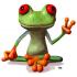 Peace Frog LOGO