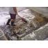 www.AreaRugCleaningStatenIsland.com 1-888-552-2891