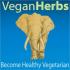 veganherbsphotogoogleplus.jpg